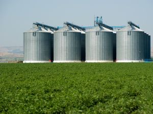 This image for Image Layouts addon