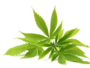 This image for Image Layouts addon